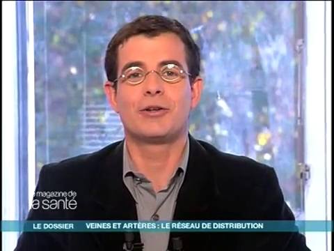 Michel Cymes et Benoît Thevenet expliquent les maladies des vaisseaux sanguins.