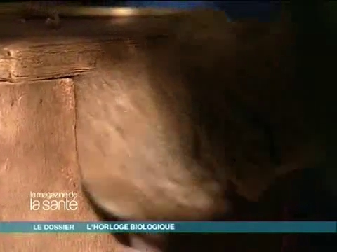 Le chronobiologiste étudie le rythme de l'organisme.