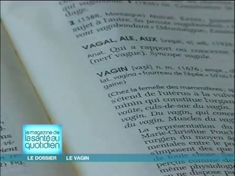 Comment le vagin est-il perçu par les hommes ?