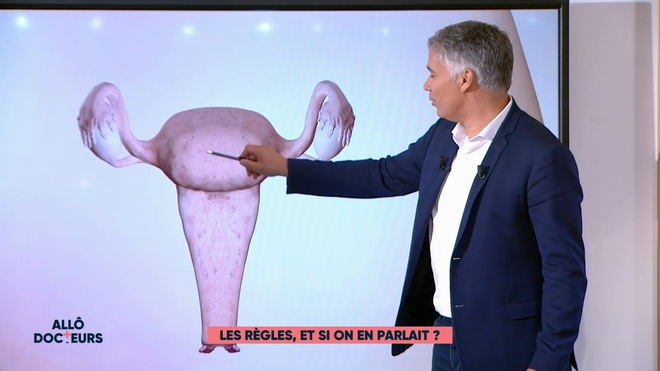 Marina Carrère d'Encausse et Régis Boxelé expliquent le cycle des règles