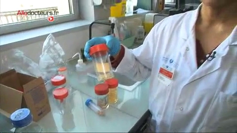 Comment diagnostiquer une anguillulose ?
