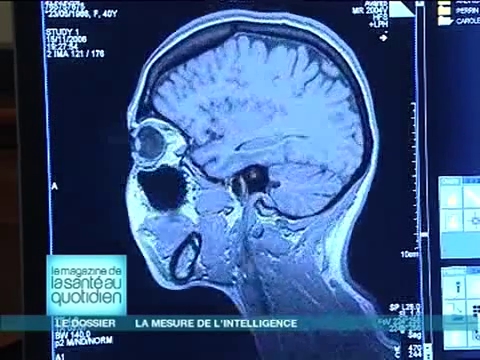 Les travaux sur l'intelligence verbale permettront peut-être de mieux évaluer l'intelligence globale de l'être humain