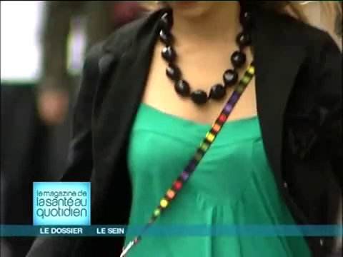 Le sein : un équivalent des mamelles des mammifères femelles ?