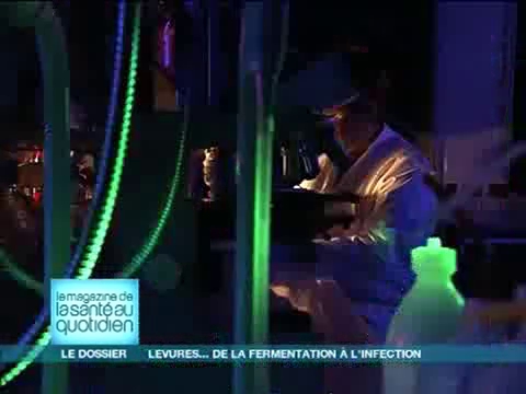 Les levures sont étudiées pour leur faire produire des molécules recherchées.