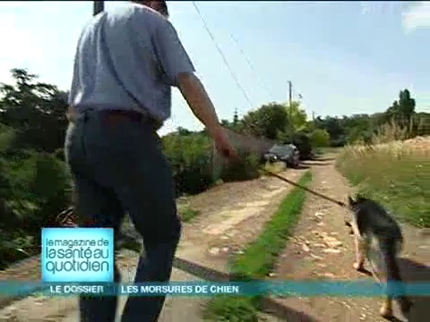 L'autorité est très importante dans l'éducation des chiens.