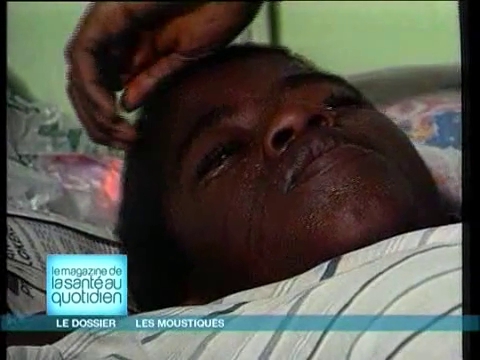 Pourquoi les moustiques transmettent-ils surtout des maladies dans les régions tropicales ?