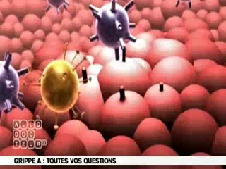 Qu'est-ce que la grippe A ?