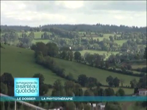 Comment obtient-on les principes actifs d'une plante ?