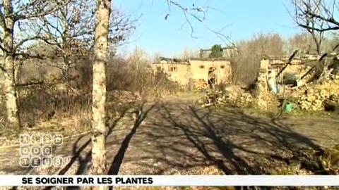 Quelles sont les plantes qui soignent ?