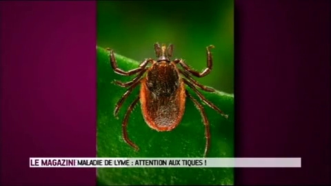 Marina Carrère d'Encausse et Michel Cymes décrivent l'évolution de symptômes de la maladie de Lyme.