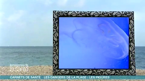 Il faut tout d’abord rincer la piqûre de méduse avec de l’eau de mer.