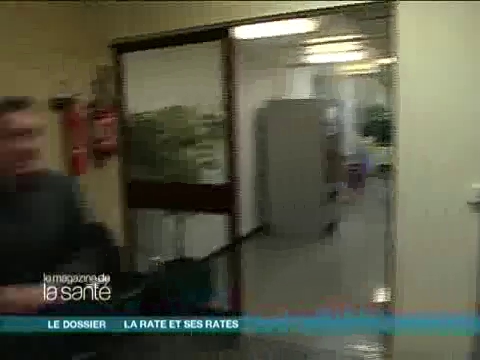 La rate peut doubler de volume en cas de splénomégalie.