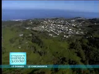 Qu'est-ce que le chikungunya ? (reportage diffusé le 2 février 2006)