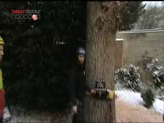 L'abattage, malgré la neige, d'un arbre peut causer des blessures s'il n'est pas fait avec quelques précautions.