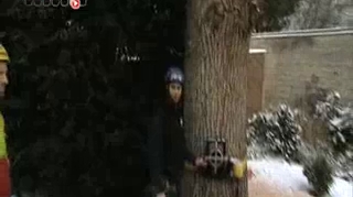 L'abattage, malgré la neige, d'un arbre peut causer des blessures s'il n'est pas fait avec quelques précautions.