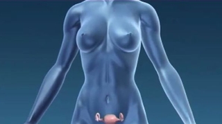 Après la ménopause, le cancer du corps de l'utérus