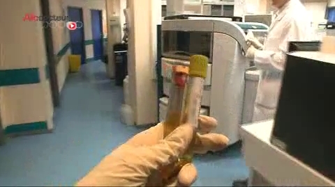 Illustration du travail en laboratoire sur l'analyse d'urine