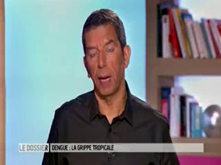 Marina Carrère d'Encausse et Michel Cymes expliquent les symptômes de la dengue.