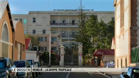 Reportage sur la dengue en Nouvelle-Calédonie