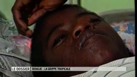 Des explications pour mieux comprendre le rôle du moustique dans la diffusion d'une épidémie comme la dengue