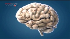 Alzheimer : bientôt une nouvelle définition de la maladie ?