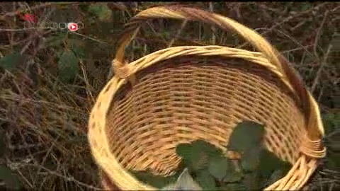 Avant de préparer ses propres remèdes à base de plantes, mieux vaut s'adresser à un herboriste qualifié.