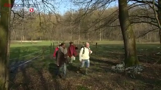 De la sève de bouleau pour perdre ses kilos superflus