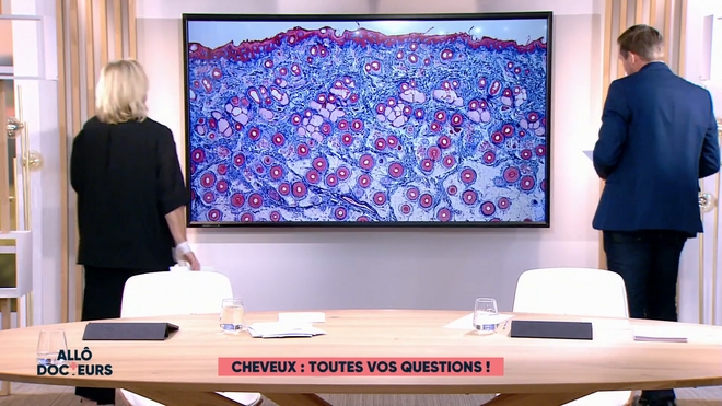 Marina Carrère d'Encausse et Fabien Doguet expliquent le cycle de vie d’un cheveu.