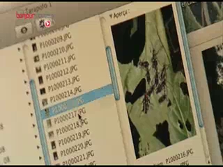 Damien fait appel à un médecin naturopathe pour définir la posologie et le bon usage du traitement.