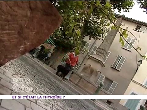 Geneviève souffre depuis 17 ans d'une hypothyroïdie, elle en décrit les principaux symptômes.