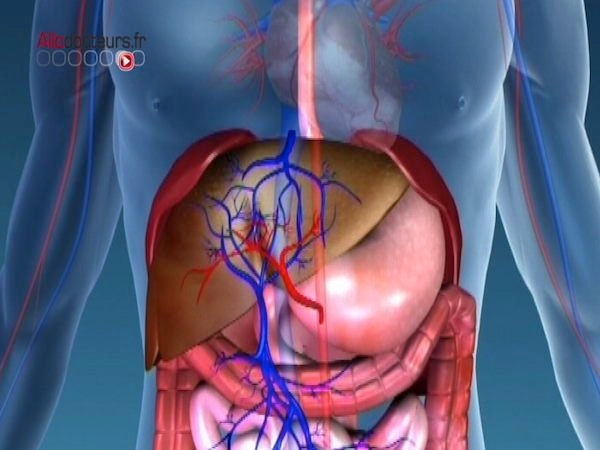 Greffe de six organes (oesophage, estomac, foie, pancréas, intestin grêle et gros intestin) sur une enfant