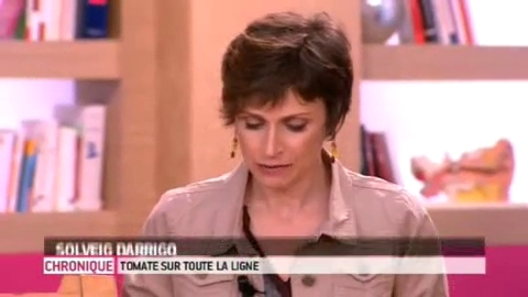 Chronique de Solveig Darrigo du 8 juin 2012