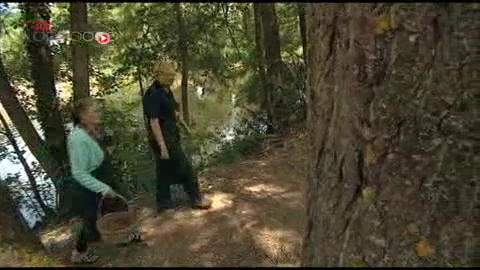 À Ohis, dans l'Aisne, le pissenlit est une tradition familiale.