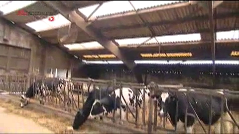 Le lait utilisé pour la fabrication du fromage subit des contrôles stricts.