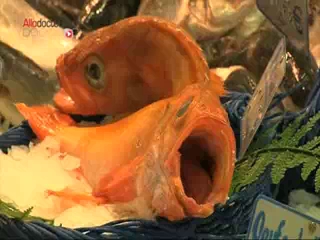 Tombe, vieille, dorade grise ou rose... Diversifier son assiette, c'est aussi préserver les stocks des espèces de poissons les plus menacées.