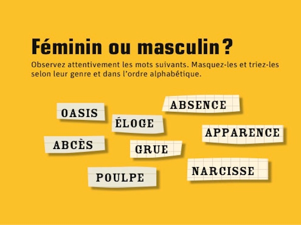 D - Féminin ou masculin ? © PlayBac