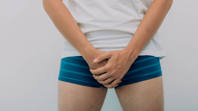 Les Anomalies Des Testicules Allodocteurs