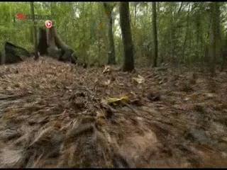 Reportage Dominique Tchimbakala, Eloïse Malet et Hervé Droguet.