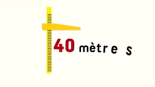 L'épicéa présente bien des vertus