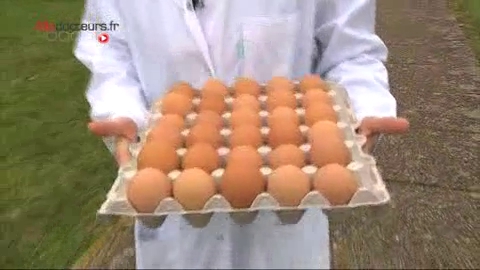 Découverte des travaux d'un laboratoire de l'INRA, à Tours