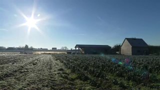 Culture, récolte et préparation du poireau