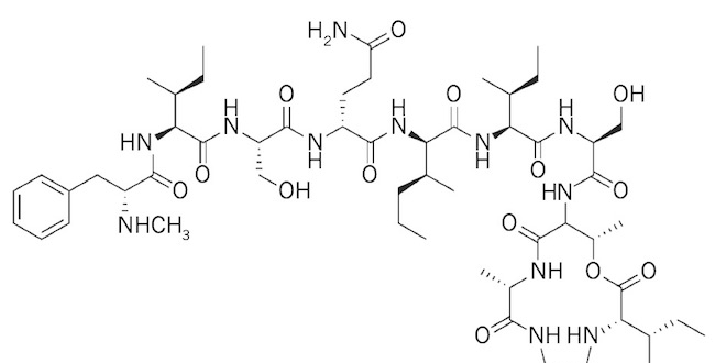 Modélisation de la teixobactine (Source : doi:10.1038/nature14098)