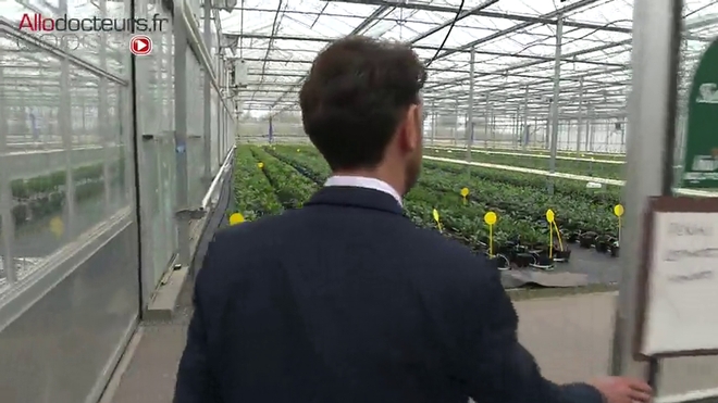 Cultiver une grande variété d'agrumes