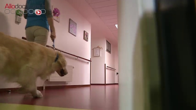 La zoothérapie en EHPAD