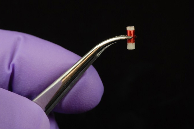 Suffisamment petit pour passer dans une aiguille à biopsie, le capteur peut être implanté facilement ©MIT