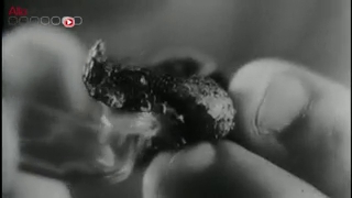 Qui est à l'origine du premier sérum anti-venin et comment fabrique-t-on ces sérums ?