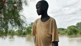 Pénurie de l'anti-venin Fav-Afrique