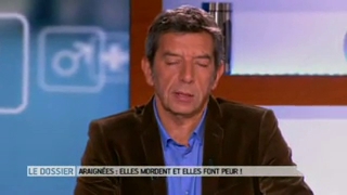 Marina Carrère d’Encausse et Michel Cymes présentent quelques espèces d'araignées.