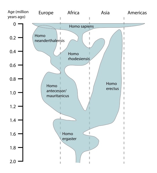 Une représentation de la distribution temporelle et géographique de populations du genre Homo. D'autres interprétations diffèrent principalement dans la taxinomie et la distribution géographique des espèces du genre Homo. (cc-by-sa Reed, Smith & Hammond)