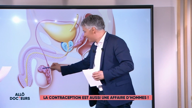 Marina Carrère d'Encausse et Régis Boxelé expliquent la fertilité masculine